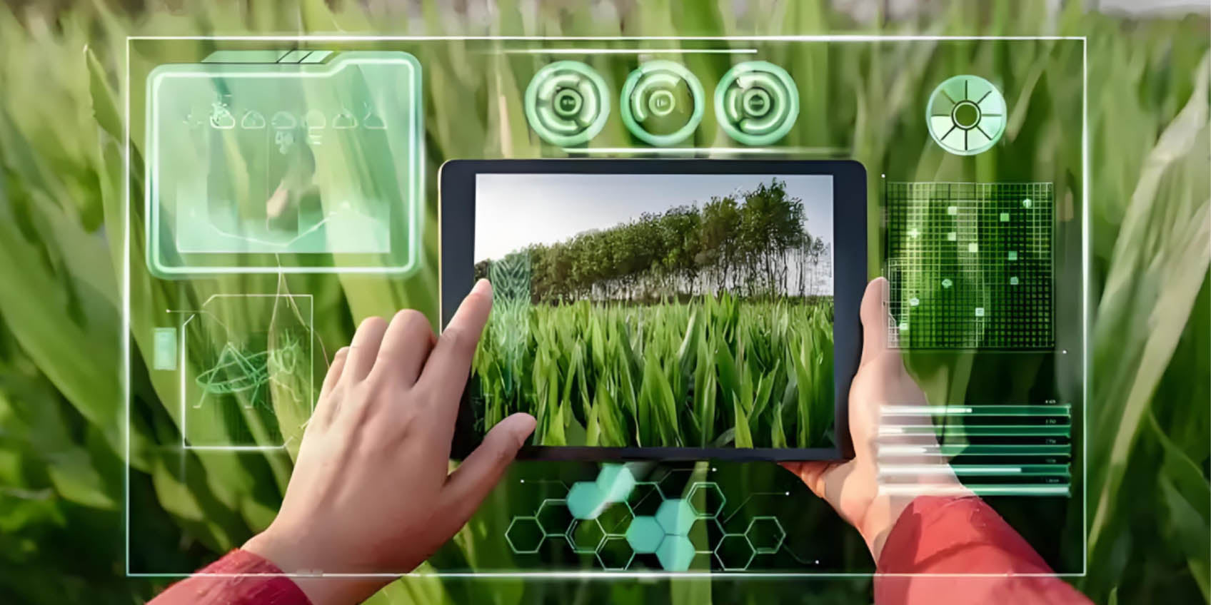 Enhancing Crop Monitoring with TOF Technology for Precision